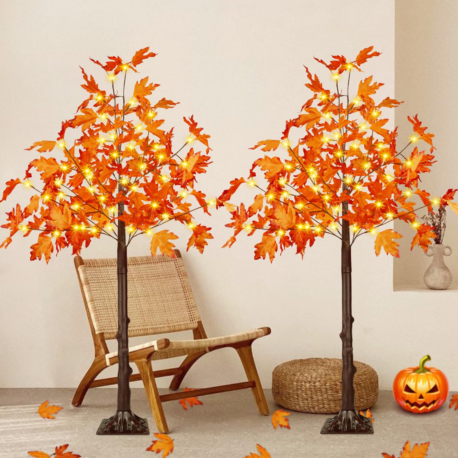 EEW front view of both 4FT maple trees showing warm glow and autumn charm