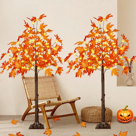 EEW front view of both 4FT maple trees showing warm glow and autumn charm