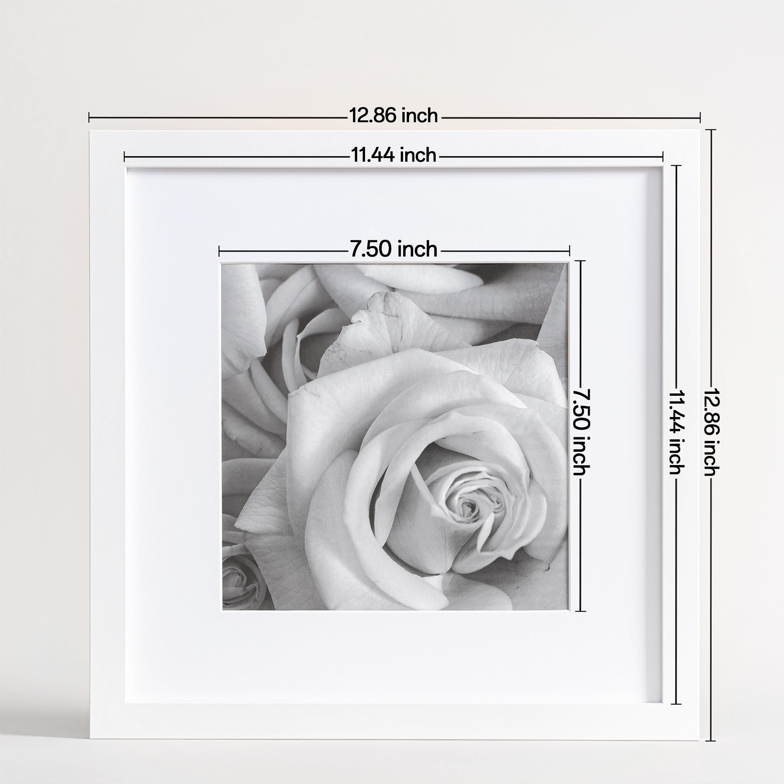 eletecpro frame back with rotating buckles for quick artwork swaps benefit