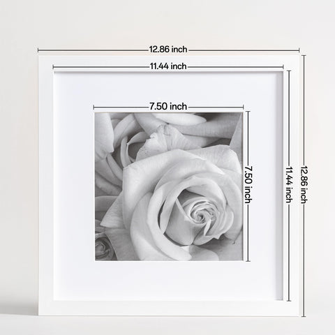 eletecpro frame back with rotating buckles for quick artwork swaps benefit