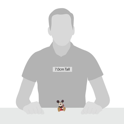 Enesco Jim Shore Mini Mickey packaging showing official label and gift-ready presentation