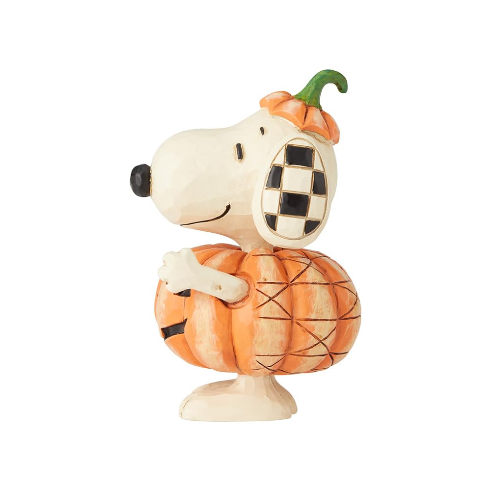 Enesco Snoopy pumpkin packaging box ready for gifting and storage