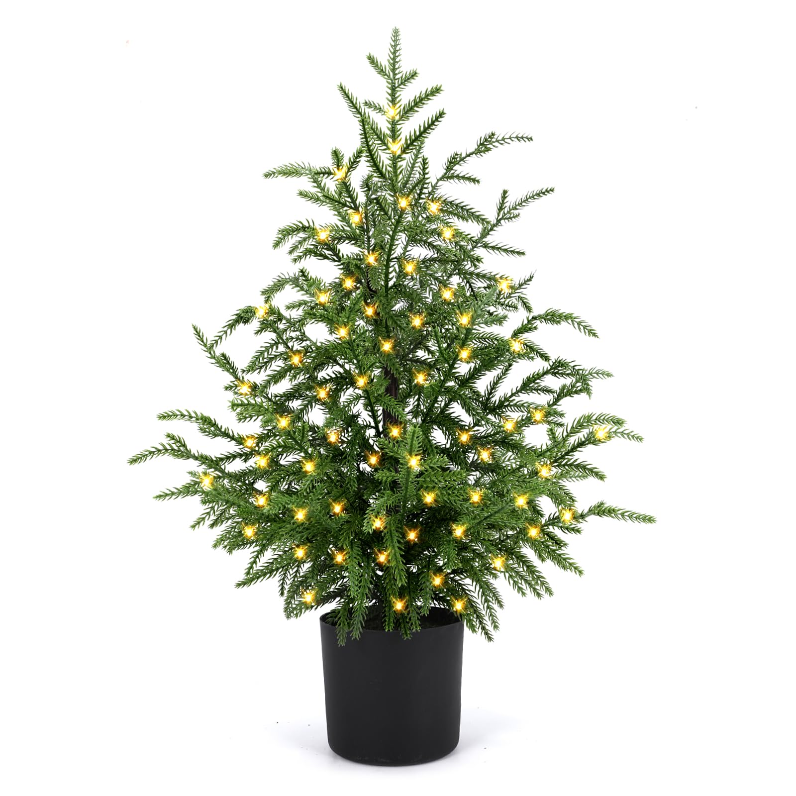 ENVEN front view of 2ft Norfolk pine showing full realistic shape and instant decor benefit