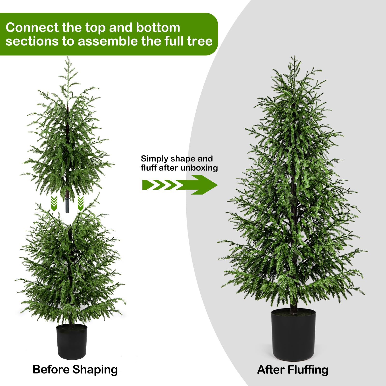 ENVEN tree decorated with string lights for seasonal ambiance
