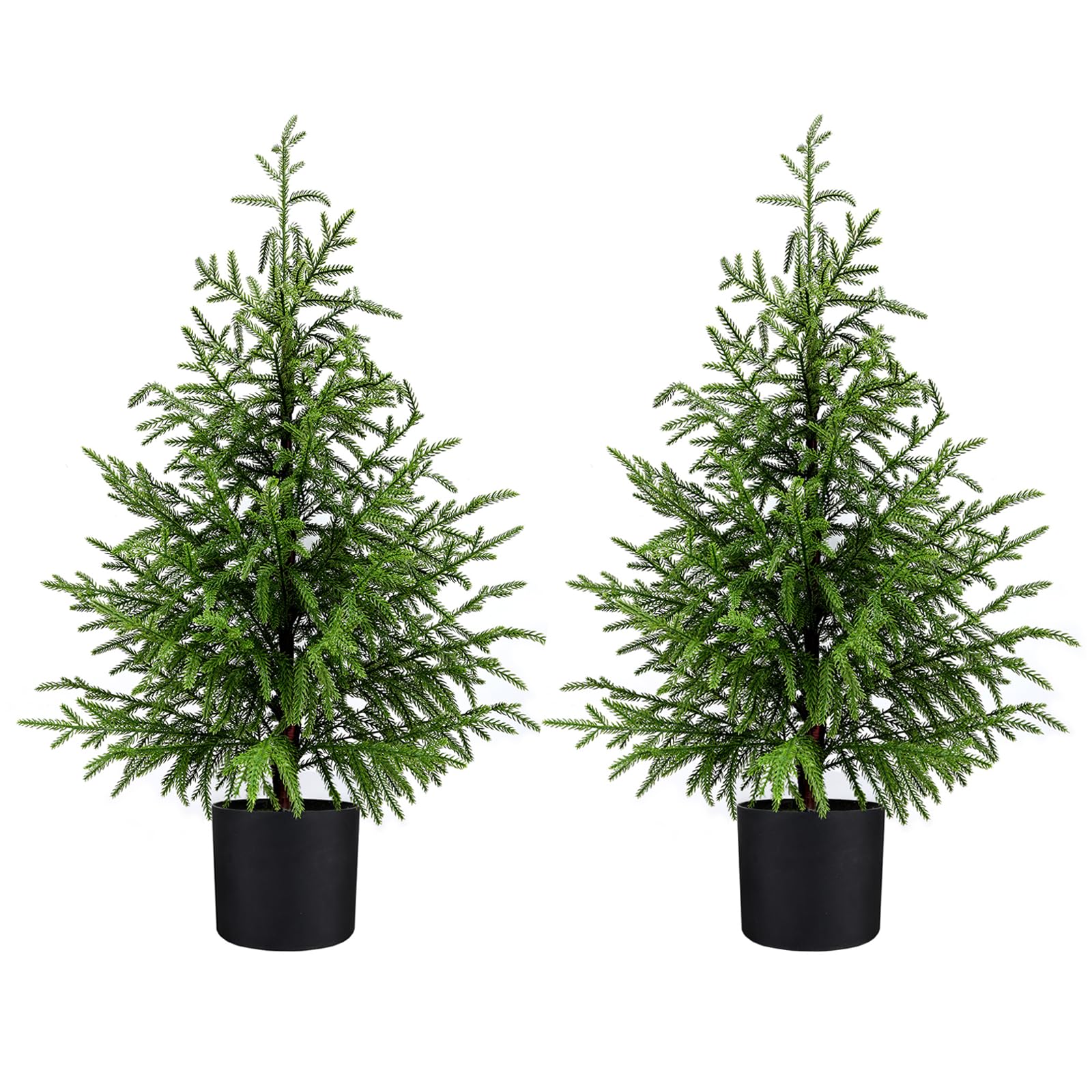 ENVEN front view of 4ft cedar tree showing full silhouette and instant greenery