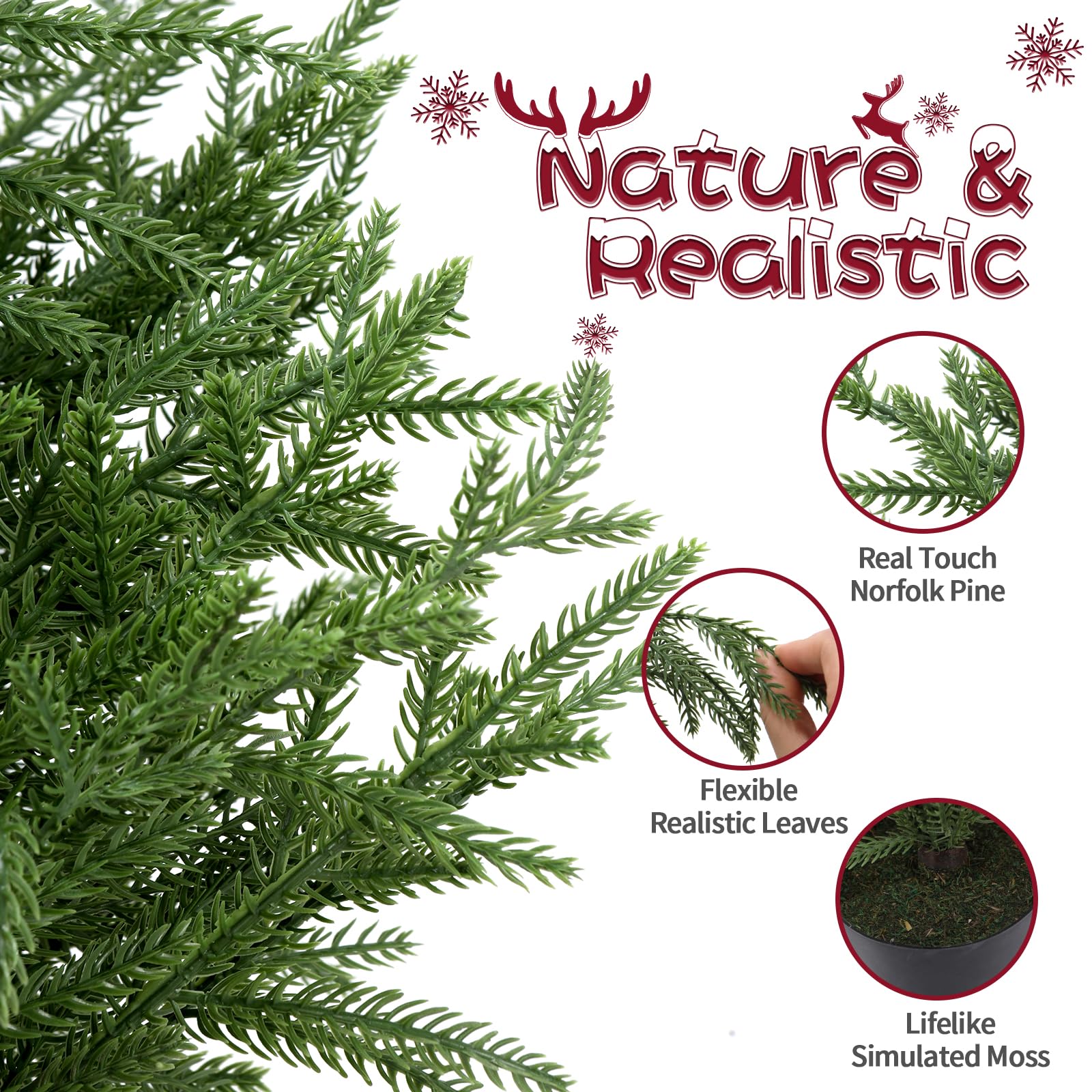 ENVEN cedar tree decorated with string lights demonstrating seasonal versatility