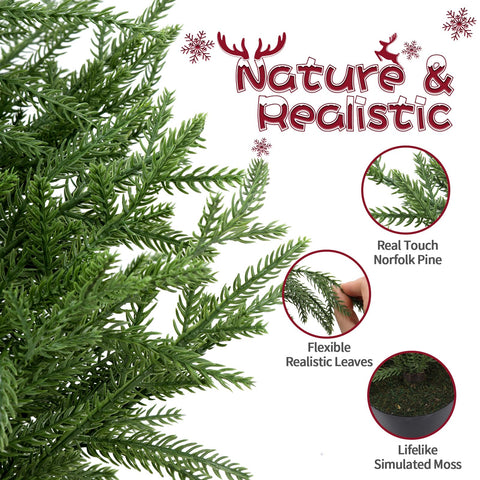 ENVEN cedar tree decorated with string lights demonstrating seasonal versatility
