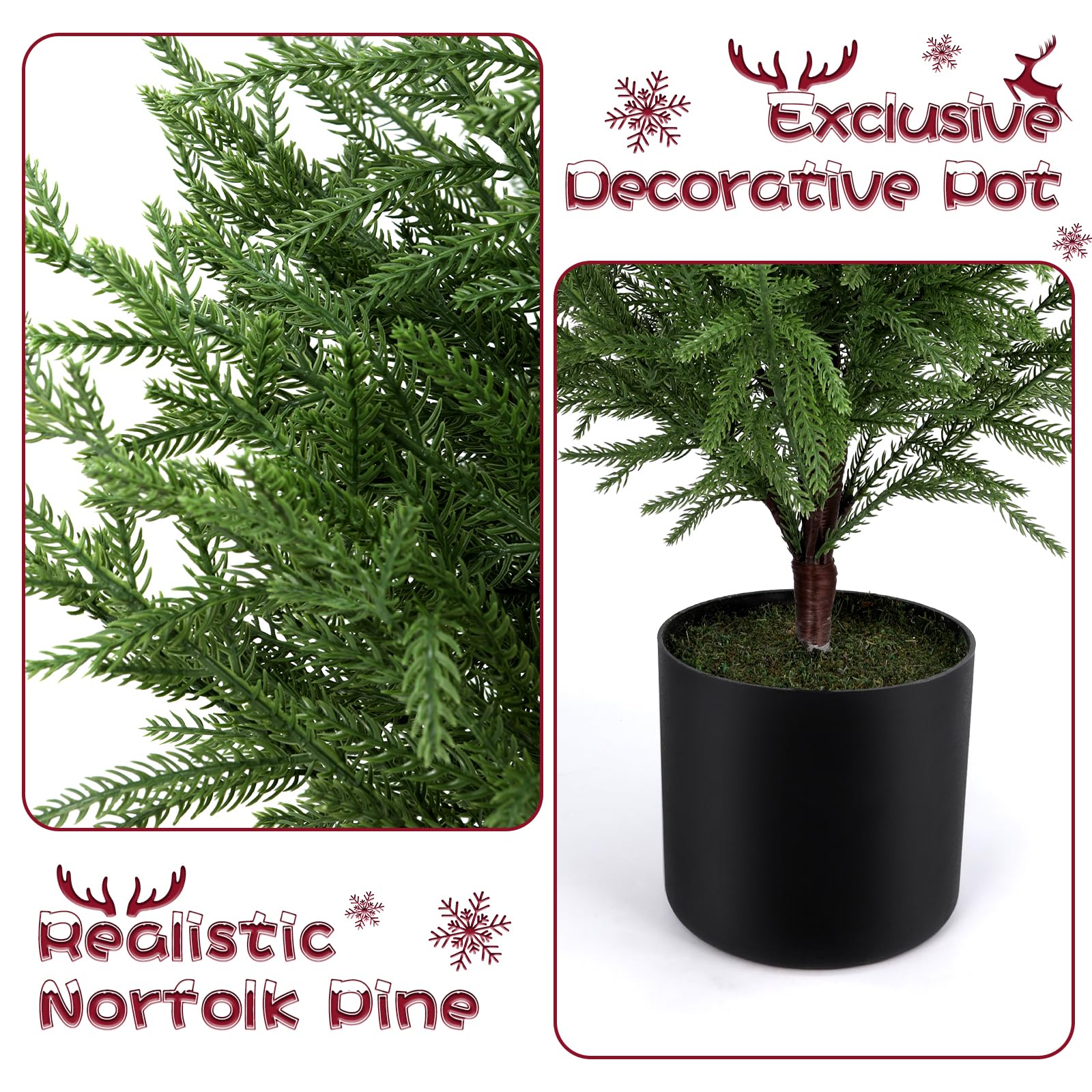 ENVEN cedar tree next to sofa showing size and scale for room placement