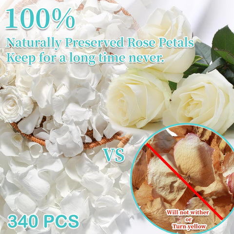 Eslibin close-up of ivory petal texture revealing veins and realistic look benefit