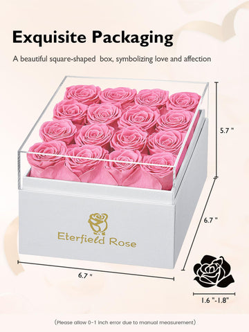 Eterfield clear acrylic lid and label on box highlighting protective display and ready-to-gift benefit