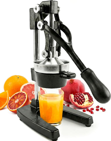 Eurolux cast iron juicer front view showing sturdy construction and stability