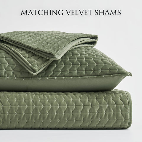 EverGrace velvet sheen in light displaying soft luster and refined appearance