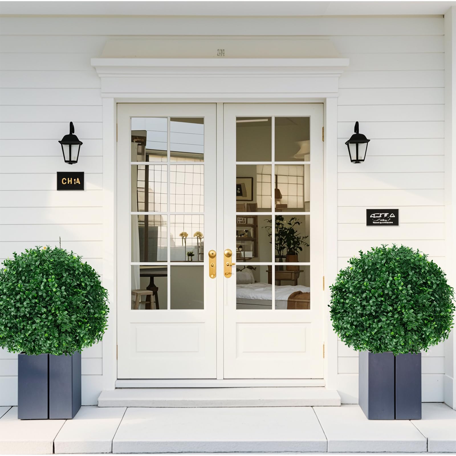 EverNature close-up of boxwood leaf texture, realistic natural look