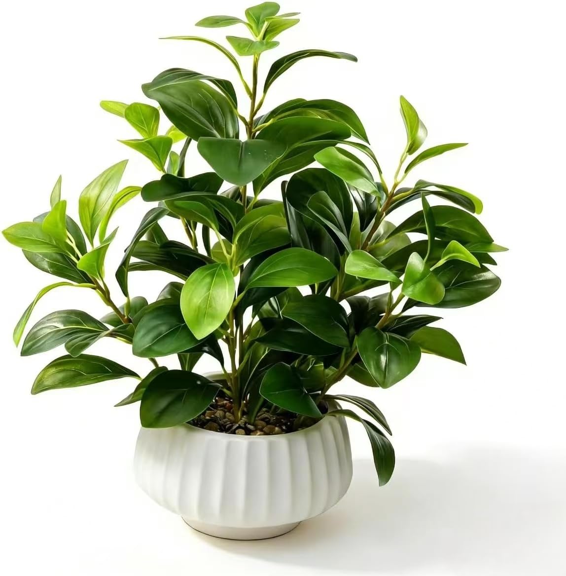 Ewtogift front view of faux Peperomia showing lifelike foliage and immediate style