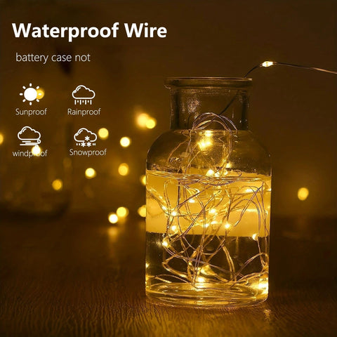 EXF close-up of LEDs on silver wire highlighting bright warm glow