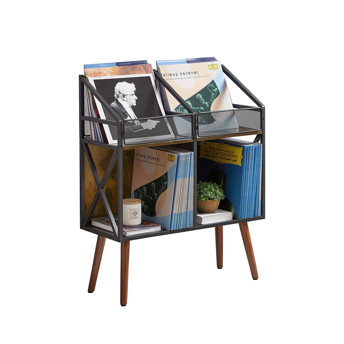 EYOCAL front view of record rack showing organized albums and easy access
