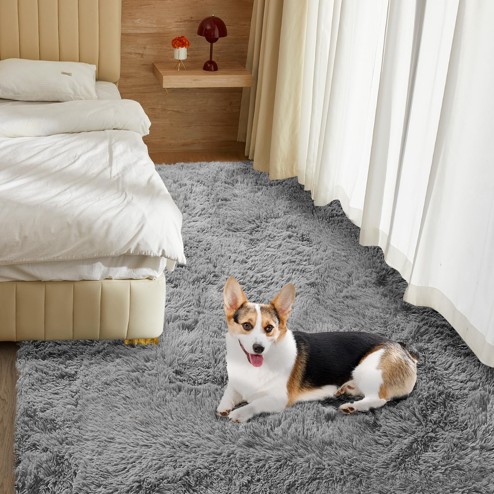 Fairblink 5x8 rug placed beside sofa to show scale and room impact