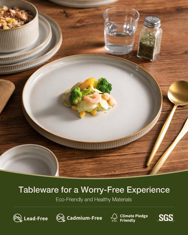 famiware 10-inch dinner plate display showing raised rim and durable surface for everyday meals