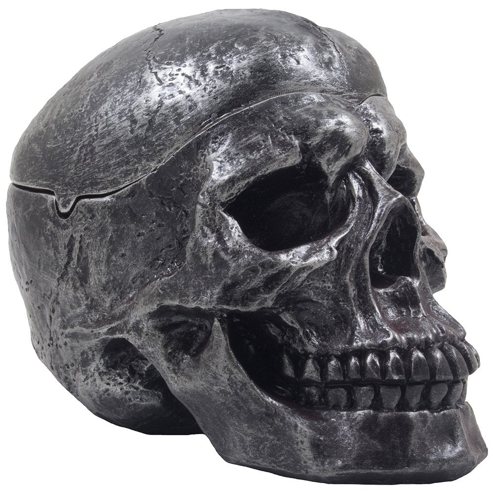 Fane skull close-up texture highlighting hand-finished resin detail and realistic finish