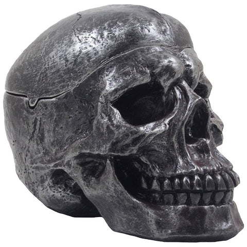 Fane skull close-up texture highlighting hand-finished resin detail and realistic finish