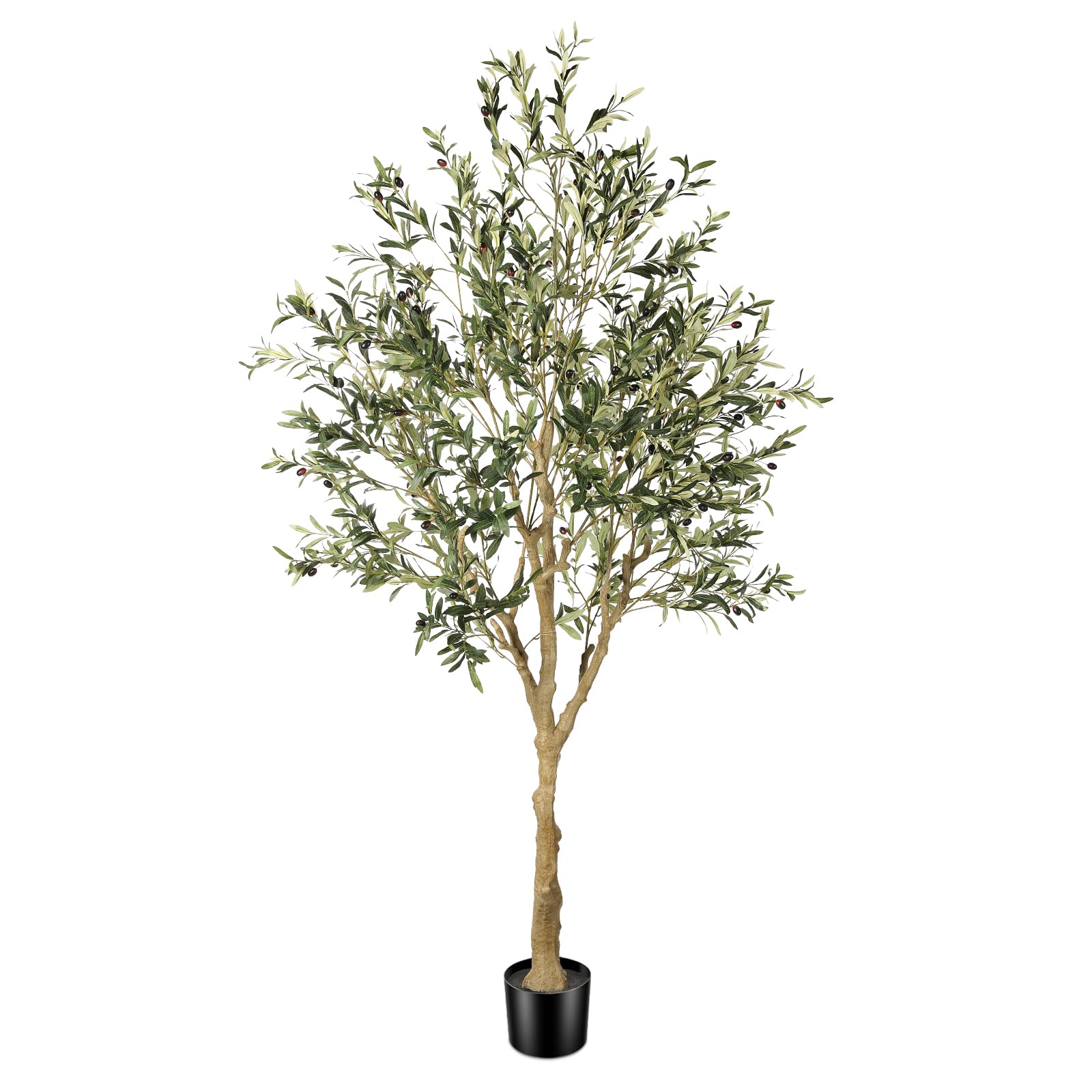 FEELEAD olive tree front view showing full 7ft height and natural presence