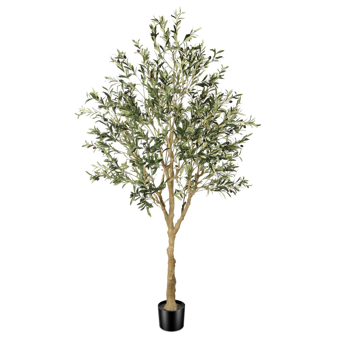 FEELEAD olive tree front view showing full 7ft height and natural presence