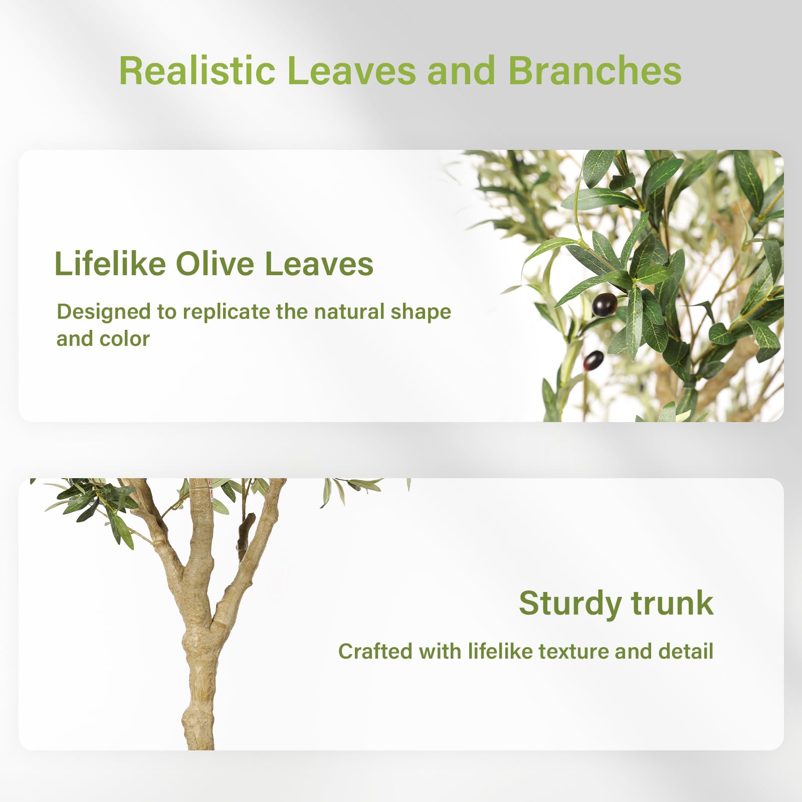FEELEAD in living room showing how tree uplifts home décor and scale
