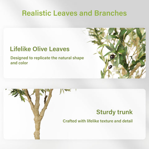 FEELEAD in living room showing how tree uplifts home décor and scale