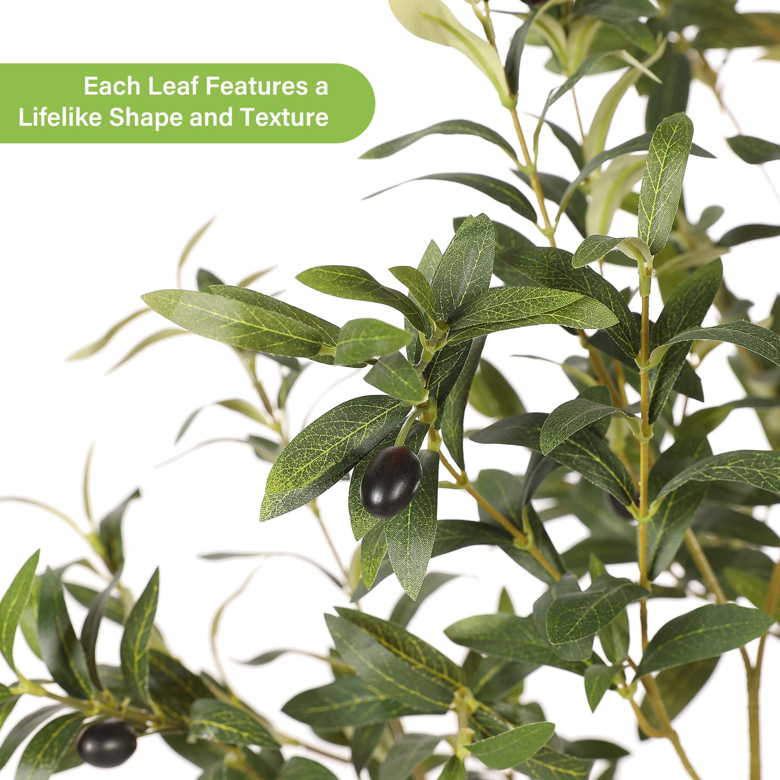 FEELEAD close-up of olive leaves highlighting lifelike texture and natural color benefit