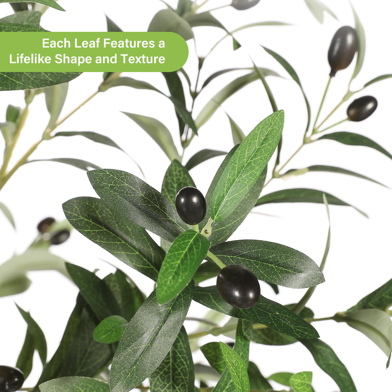 FEELEAD close-up of olive leaves showing realistic texture and color