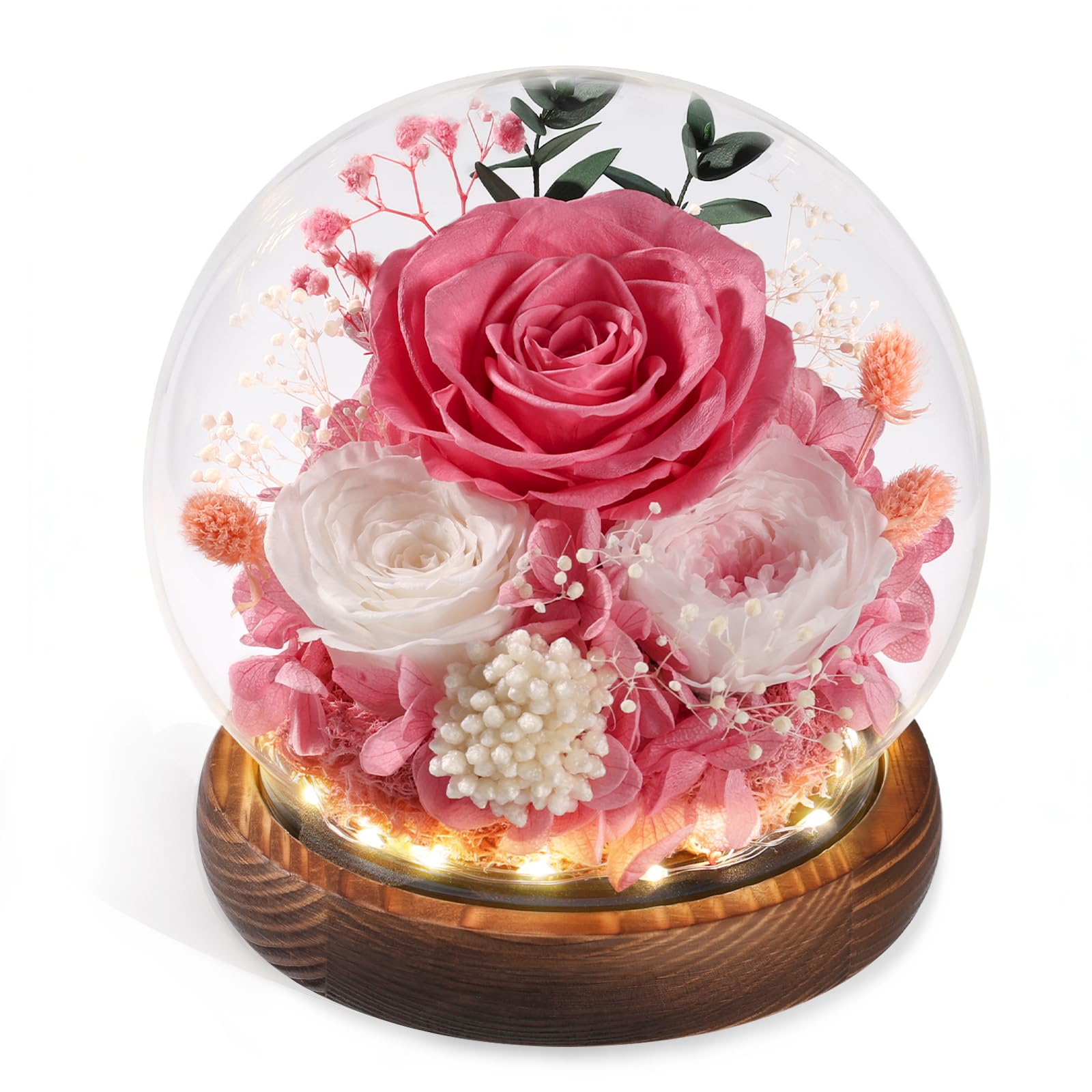 FIACO front view of preserved rose in glass dome showing elegant display
