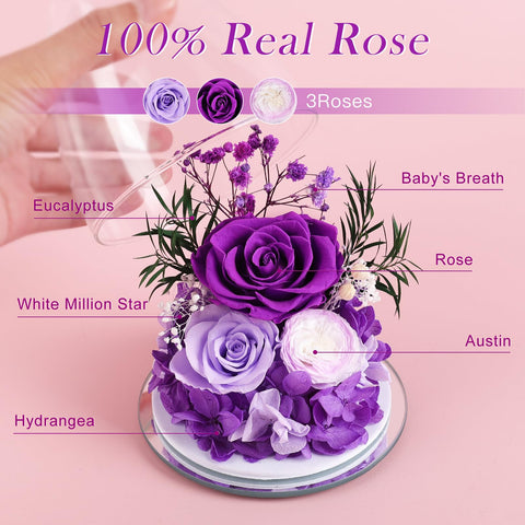 FIACO gift box opened revealing rose, angel, lights, and card