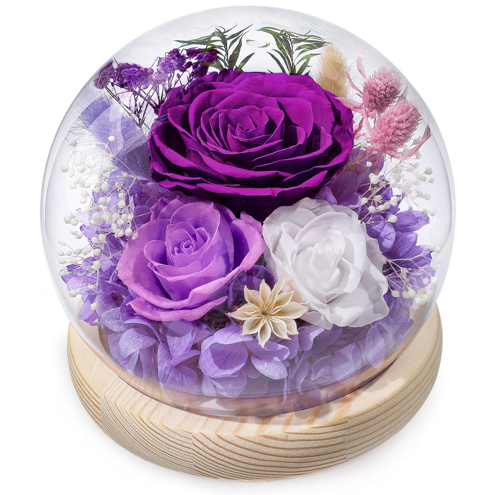 FIACO glass dome front view showing elegant preserved rose and base
