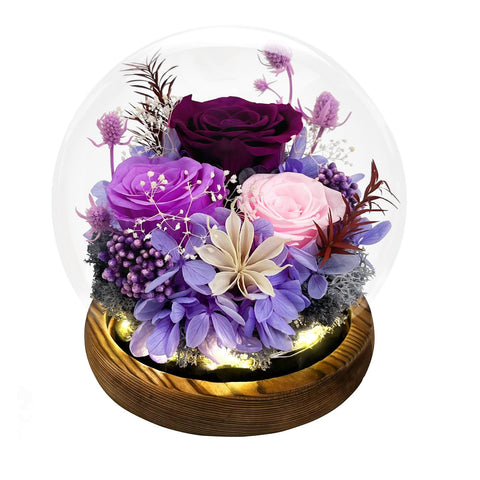 FIACO glass dome front view showing elegant preserved rose and instant display benefit