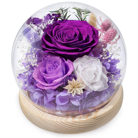 FIACO glass dome front view showing elegant preserved rose and base
