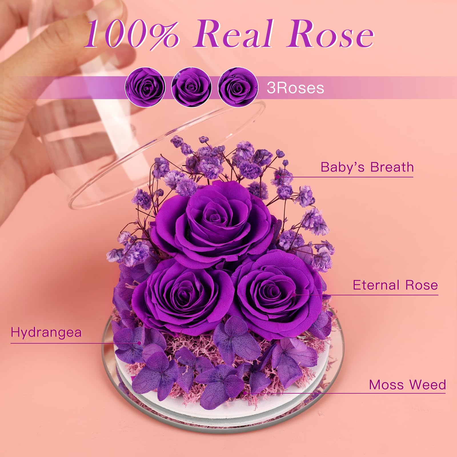 FIACO close-up of rose petals revealing preserved texture and rich color longevity