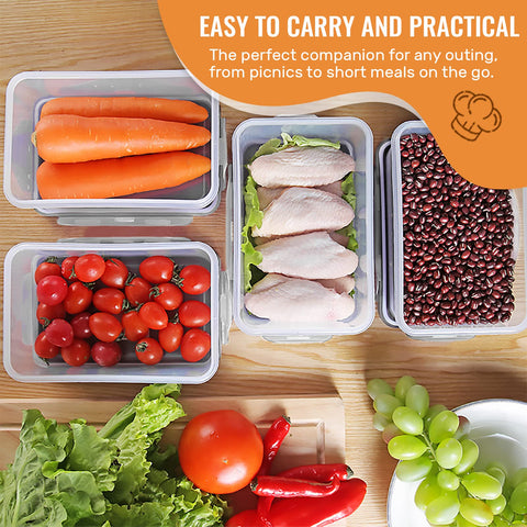 FILTA array comparing the set sizes for portioning and meal prep