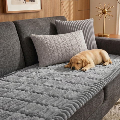 Fixwal front view of light gray couch cover showing clean protection and style