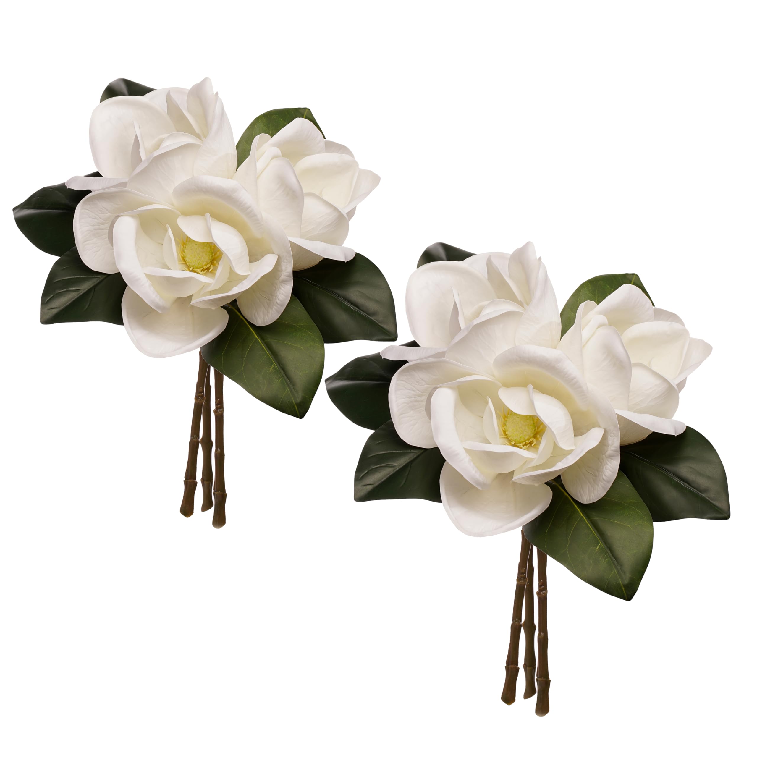 FlorisDecor front view of creamy white magnolia stems showing large blossoms and arrangement benefit