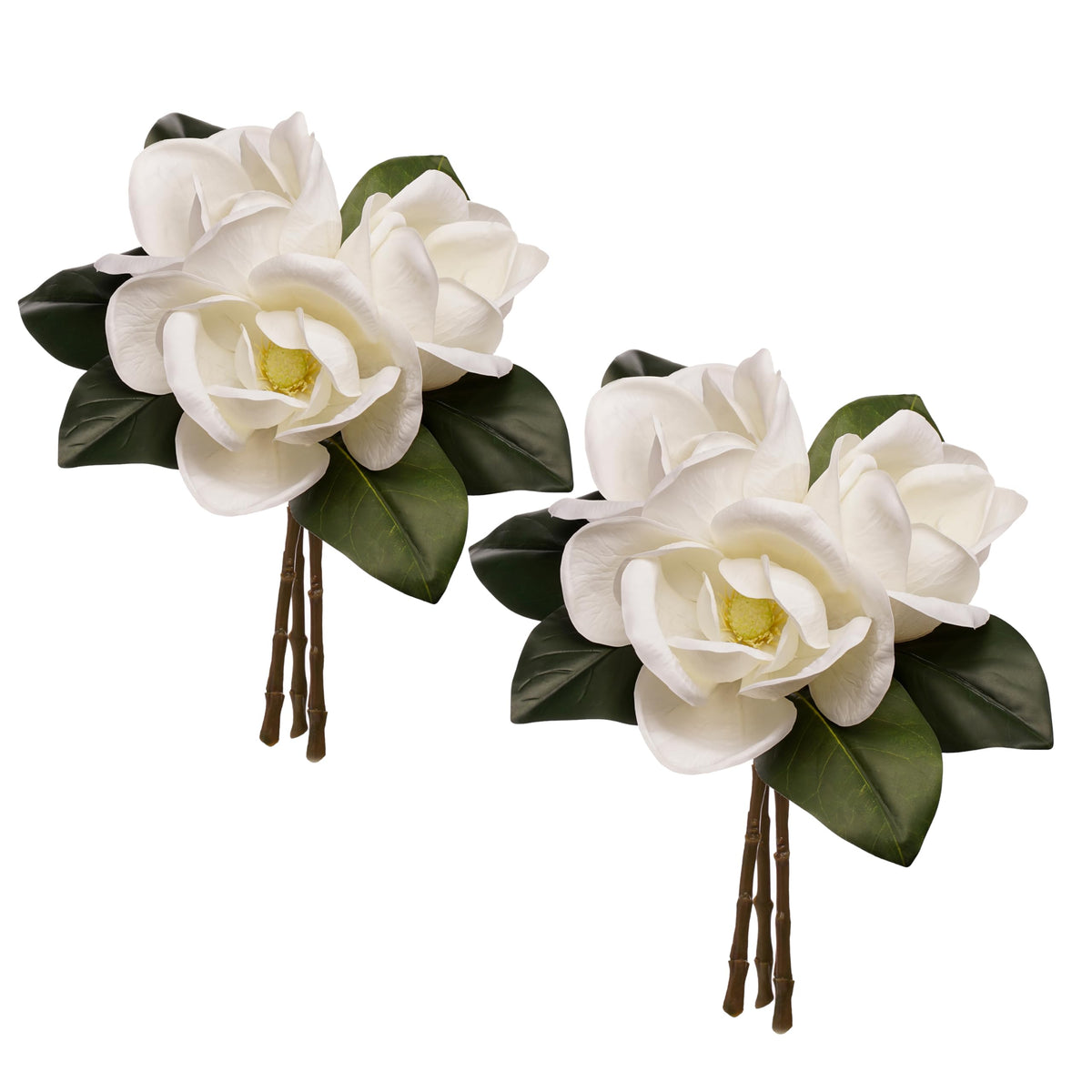 FlorisDecor front view of creamy white magnolia stems showing large blossoms and arrangement benefit