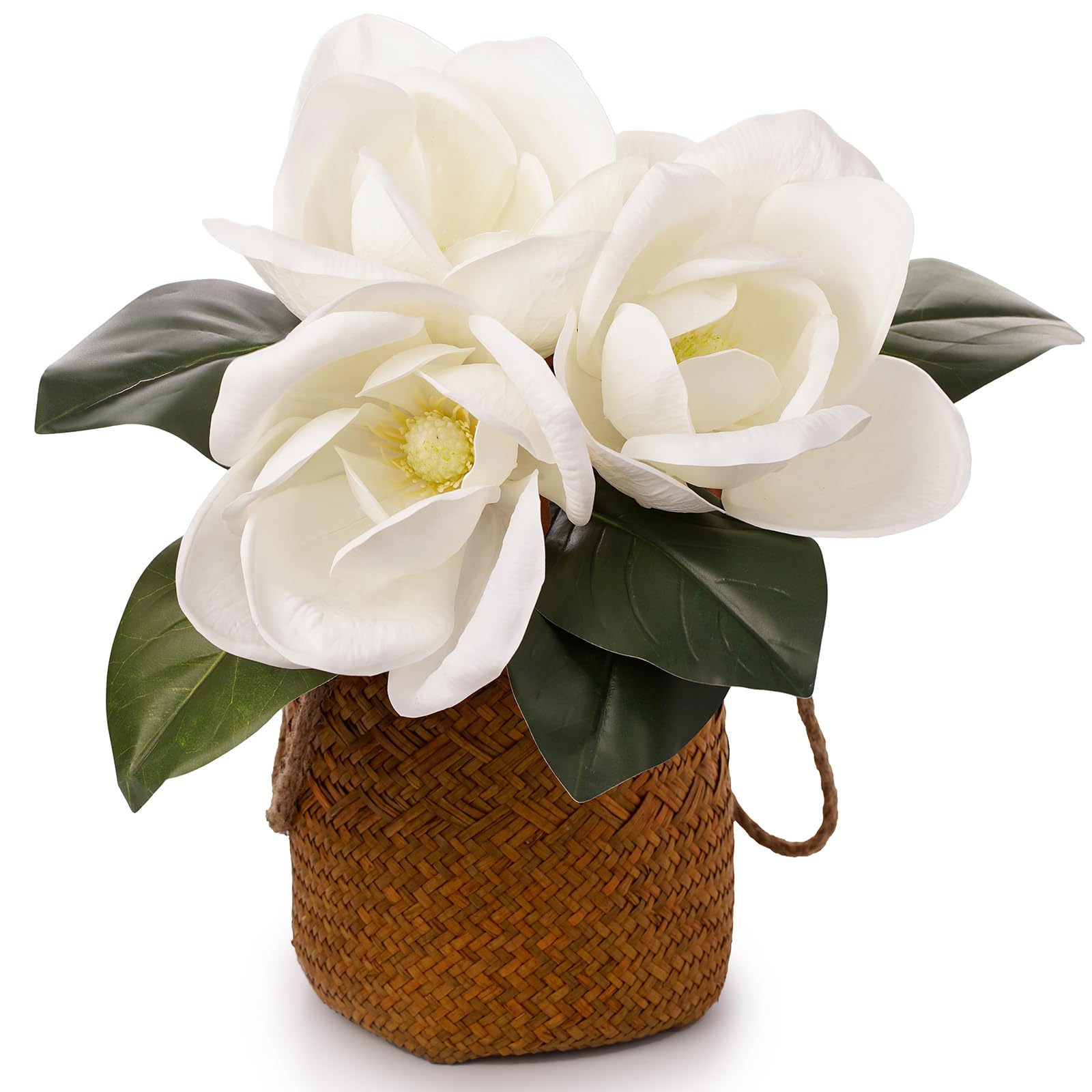 FlorisDecor styled magnolia stems in vase on dining table adding instant elegant focal point