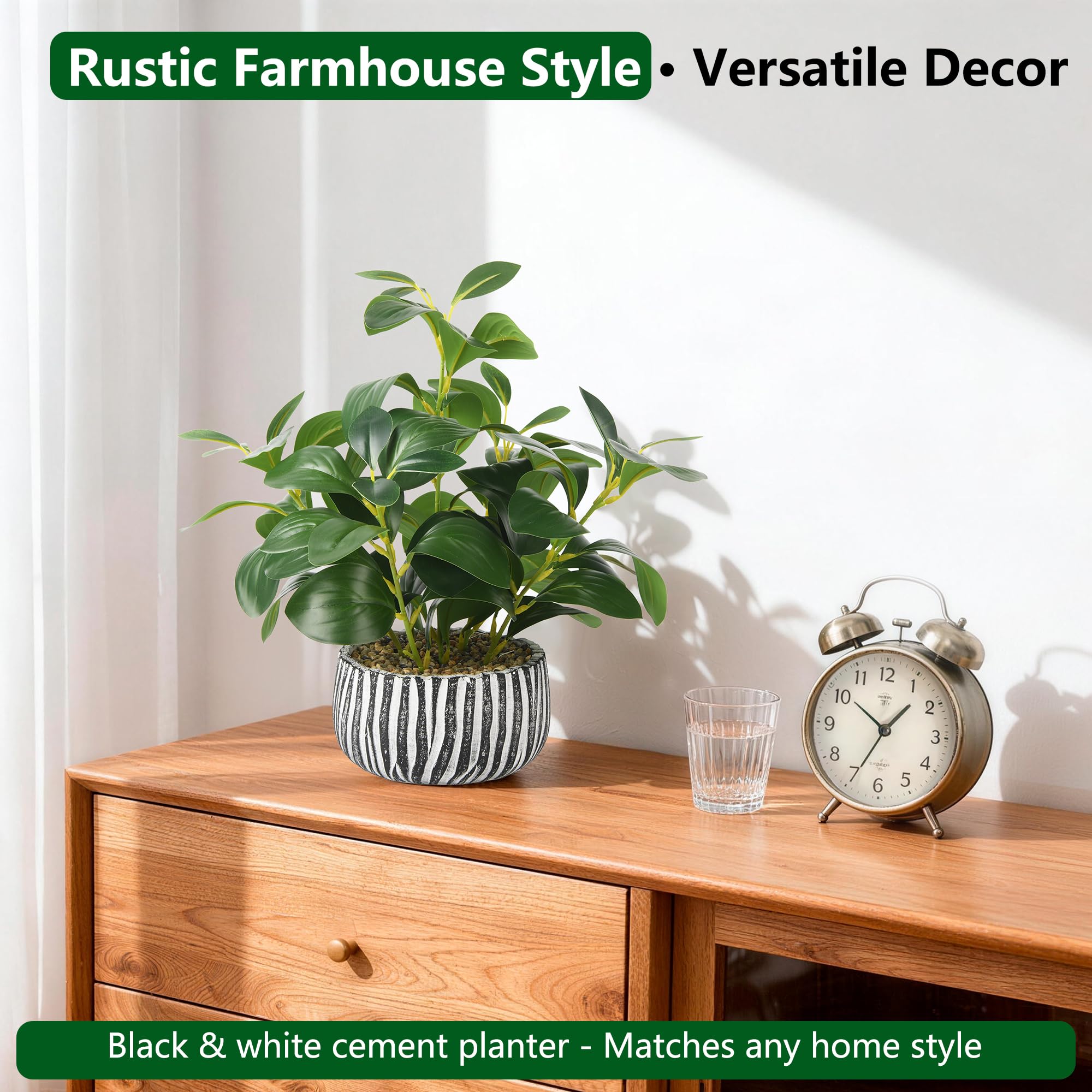florisso on office desk improving workspace look with low-care plant benefit