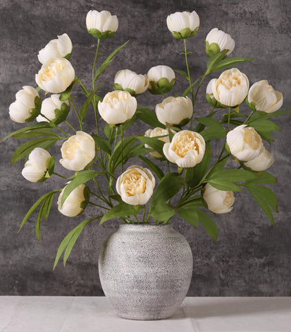 florisso front packaging showing six champagne peony stems, easy display