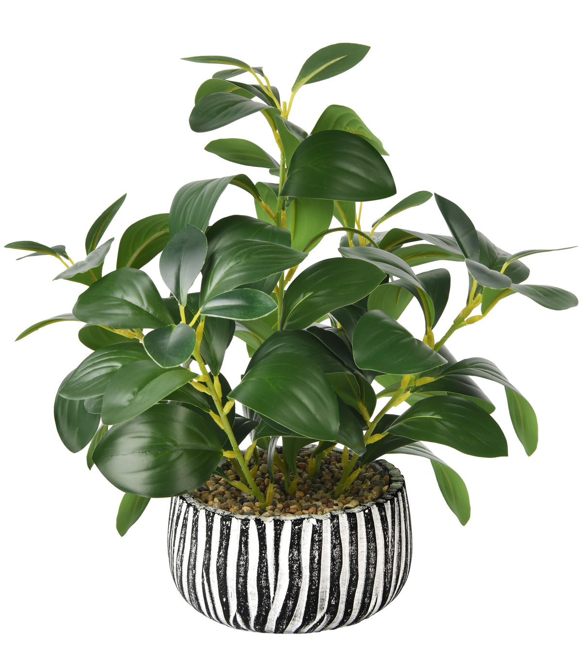 florisso front view of planter showing balanced greenery and modern stripes for style