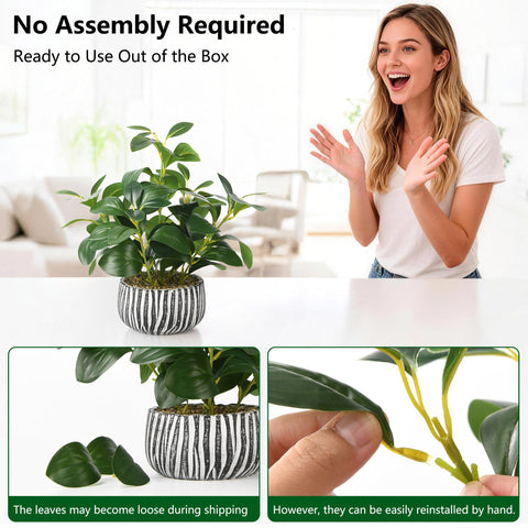florisso close-up of fig leaf texture offering realistic foliage visual appeal