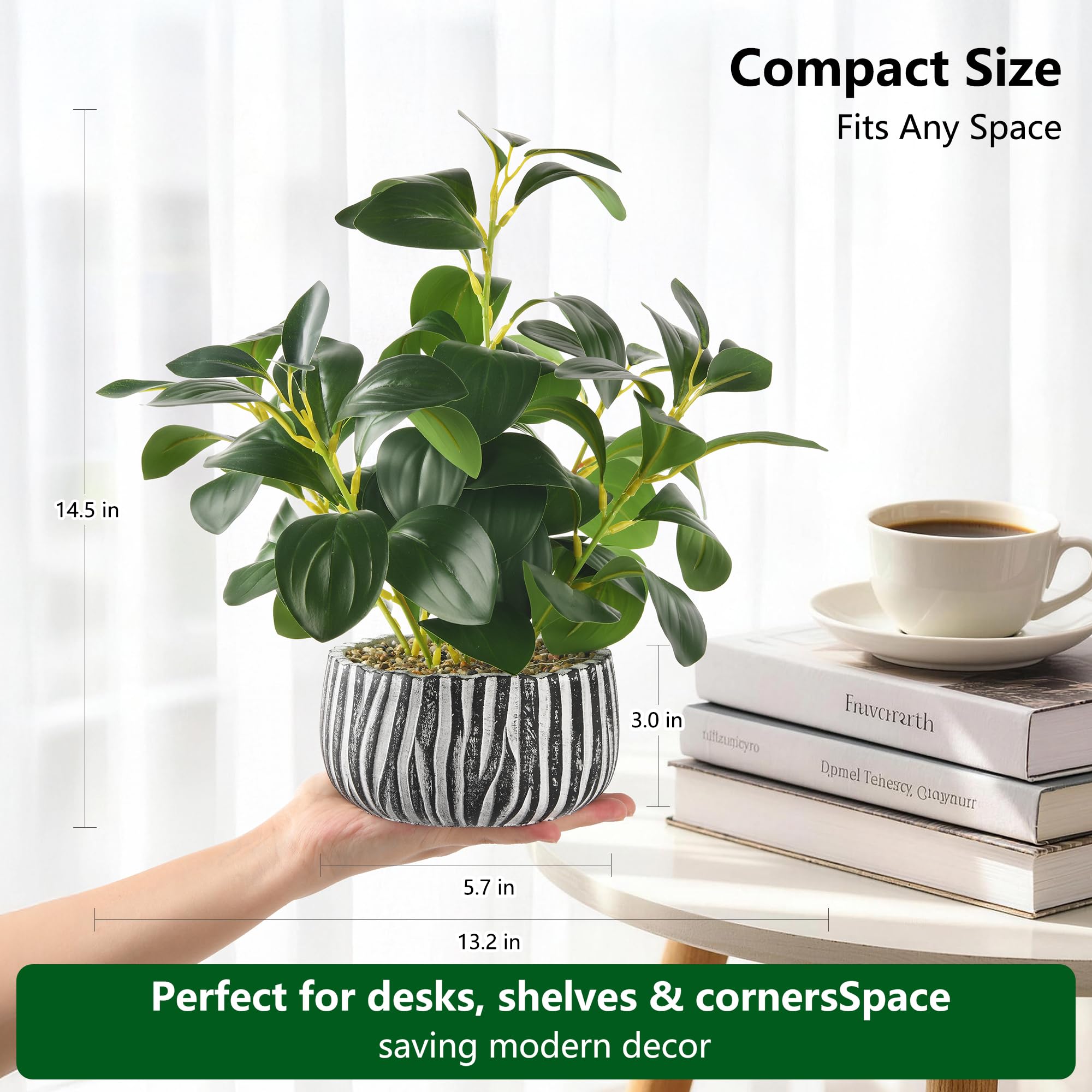 florisso next to a notebook for scale showing compact, shelf-friendly size