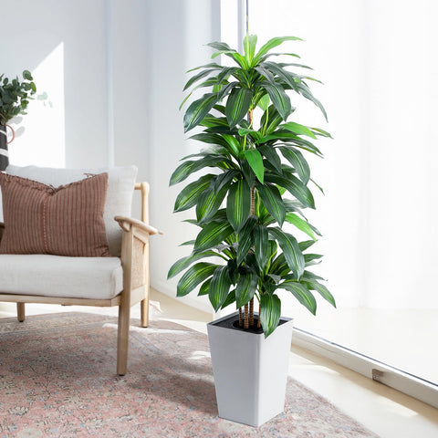 FLOWORLD leaf texture close-up highlighting realistic variegation and sheen
