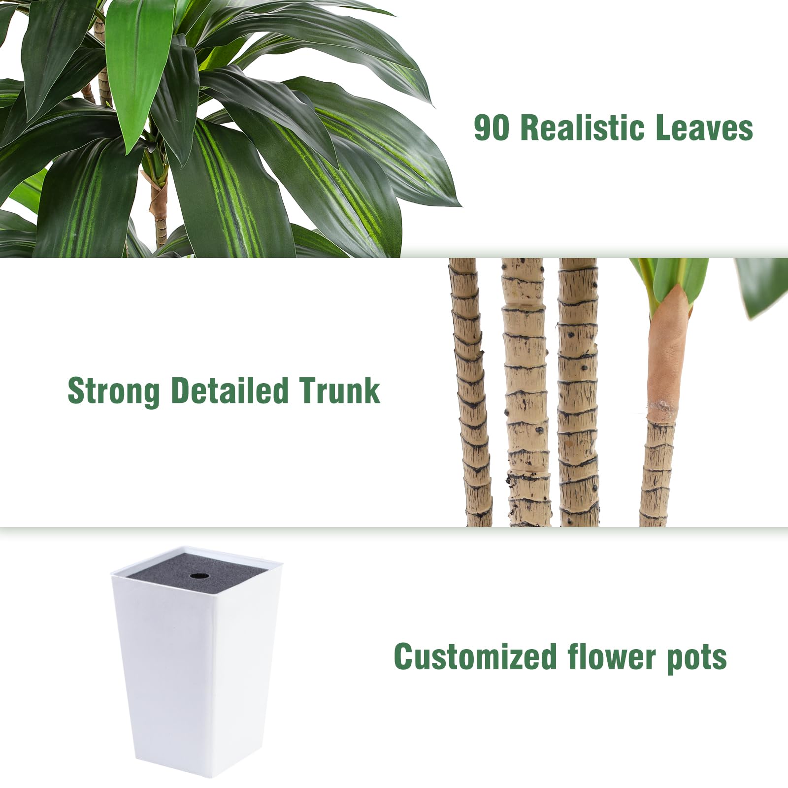 FLOWORLD dracaena staged in living room adding instant greenery and style