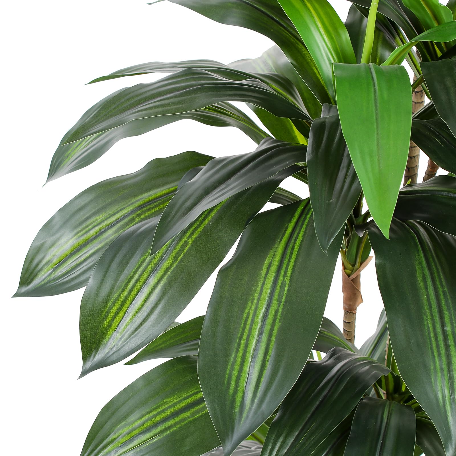 FLOWORLD trunk detail with four sculpted stems offering natural stability