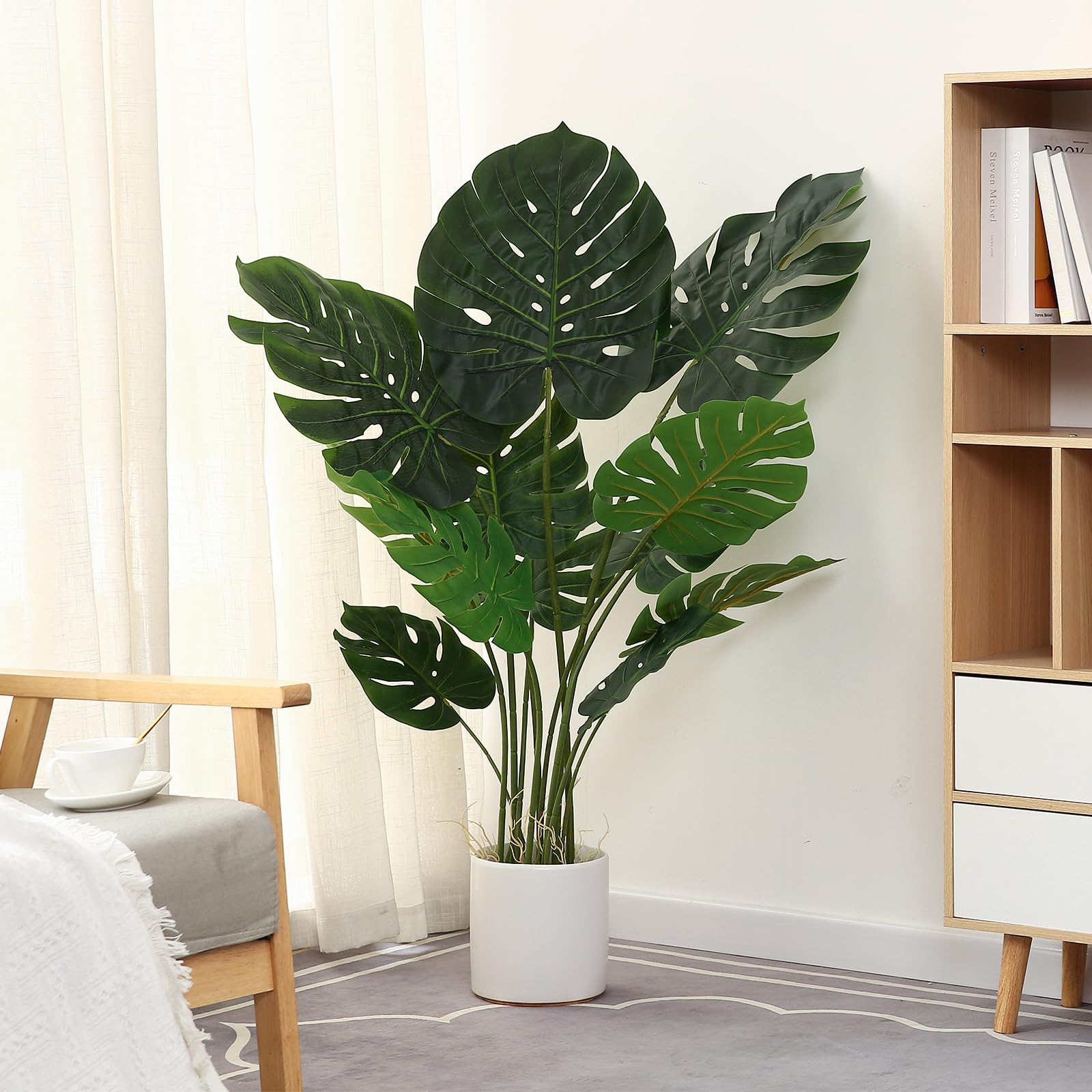 FLOWORLD potted Monstera front view showing lifelike foliage and instant style